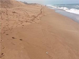 اجرای طرح تحول زمین‌شناسی دریایی در سواحل مکران از مهر ماه