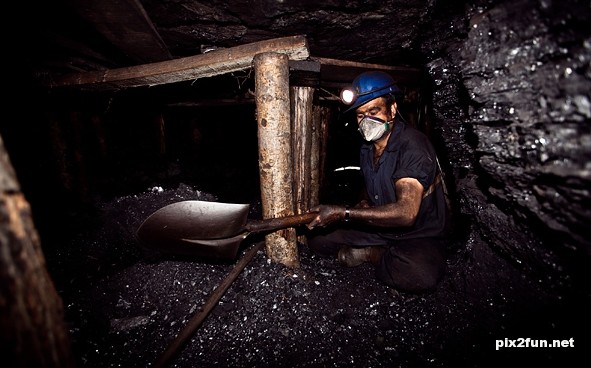 دولت افزایش قیمت زغال سنگ را اجرایی نکرد